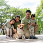 Kalbe Animal Health